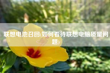 联想电池召回(如何看待联想电脑质量问题)