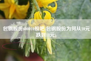 包钢股份600010股吧(包钢股份为何从10元跌到18元)