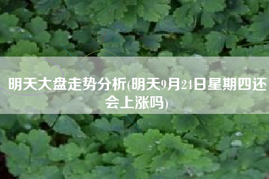 明天大盘走势分析(明天9月24日星期四还会上涨吗)