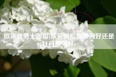 欧莱雅男士面霜(欧莱雅松露系列好还是牡丹系列好)