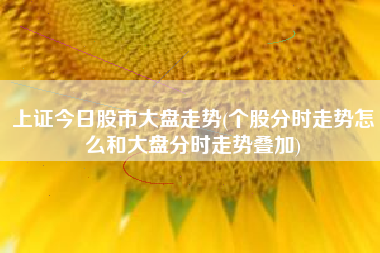 上证今日股市大盘走势(个股分时走势怎么和大盘分时走势叠加)