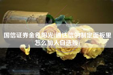 国信证券金色阳光(通达信的制定面板里怎么加入自选股)