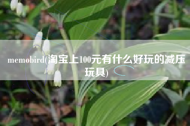 memobird(淘宝上100元有什么好玩的减压玩具)
