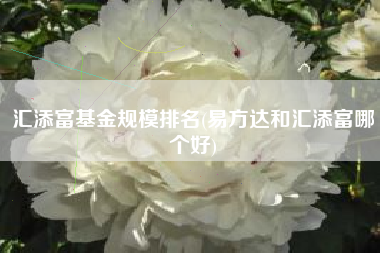 汇添富基金规模排名(易方达和汇添富哪个好)