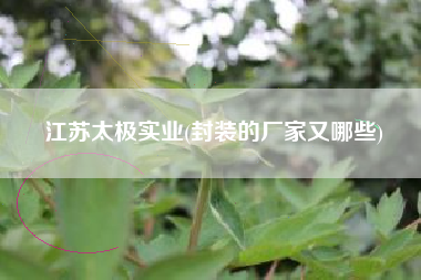 江苏太极实业(封装的厂家又哪些)