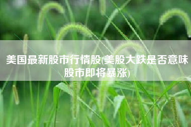 美国最新股市行情股(美股大跌是否意味股市即将暴涨)
