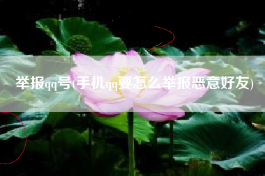 举报qq号(手机qq要怎么举报恶意好友)