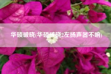 华硕破晓(华硕破晓2左扬声器不响)