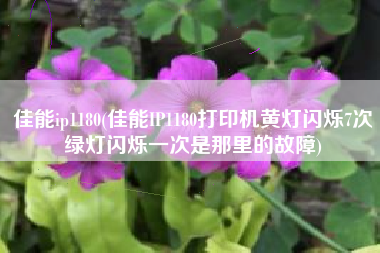 佳能ip1180(佳能IP1180打印机黄灯闪烁7次绿灯闪烁一次是那里的故障)