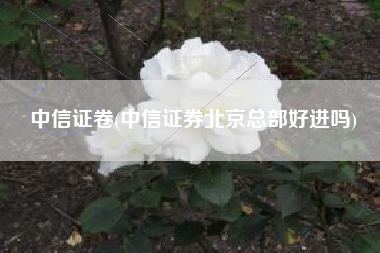 中信证卷(中信证券北京总部好进吗)