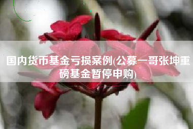 国内货币基金亏损案例(公募一哥张坤重磅基金暂停申购)