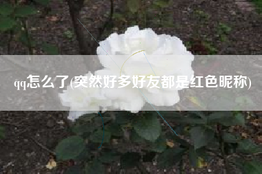 qq怎么了(突然好多好友都是红色昵称)
