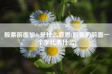 详细阅读:股票前面加dr是什么意思(股票的前面一个字代表什么) 股票前面加dr是什么意思(股票的前面一个字代表什么)
