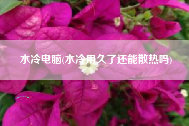 水冷电脑(水冷用久了还能散热吗)