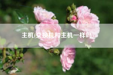 主机(交换机和主机一样吗)