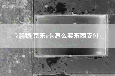 e购物(京东e卡怎么买东西支付)