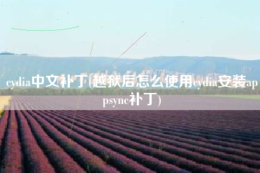 cydia中文补丁(越狱后怎么使用cydia安装appsync补丁)