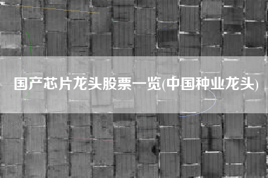 国产芯片龙头股票一览(中国种业龙头)