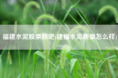 福建水泥股票股吧(建福水泥质量怎么样)