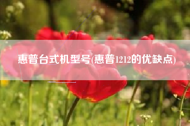 惠普台式机型号(惠普1212的优缺点)