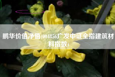 鹏华价值净值(004856广发中证全指建筑材料指数)