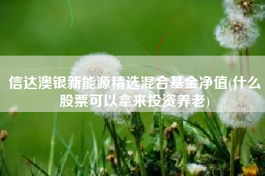 信达澳银新能源精选混合基金净值(什么股票可以拿来投资养老)