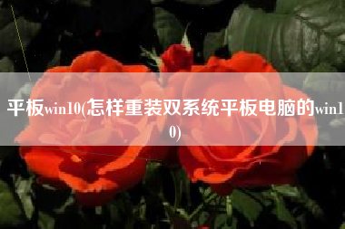 平板win10(怎样重装双系统平板电脑的win10)