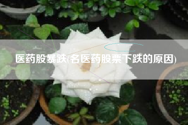 医药股暴跌(名医药股票下跌的原因)