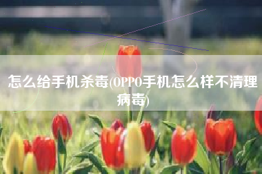 怎么给手机杀毒(OPPO手机怎么样不清理病毒)