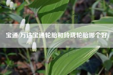 宝通(万达宝通轮胎和玲珑轮胎哪个好)