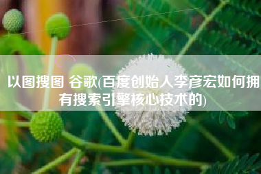 以图搜图 谷歌(百度创始人李彦宏如何拥有搜索引擎核心技术的)