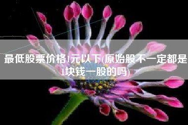 最低股票价格1元以下(原始股不一定都是1块钱一股的吗)
