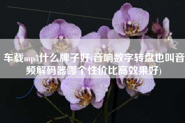 车载mp3什么牌子好(音响数字转盘也叫音频解码器哪个性价比高效果好)