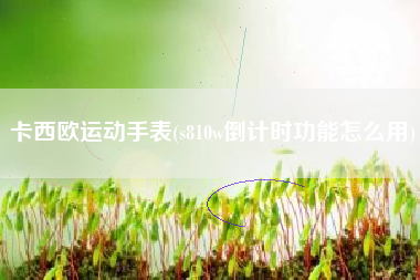 卡西欧运动手表(s810w倒计时功能怎么用)