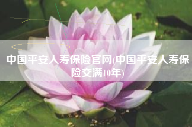中国平安人寿保险官网(中国平安人寿保险交满10年)