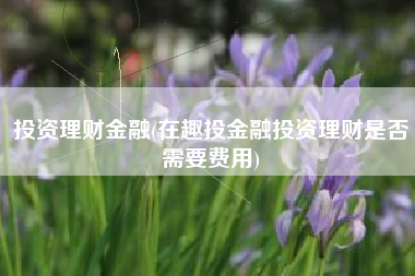 投资理财金融(在趣投金融投资理财是否需要费用)