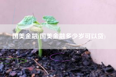 国美金融(国美金融多少岁可以贷)