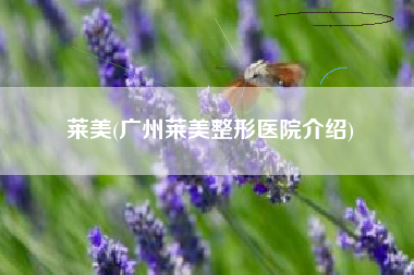 莱美(广州莱美整形医院介绍)