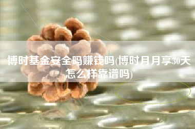 博时基金安全吗赚钱吗(博时月月享30天怎么样靠谱吗)