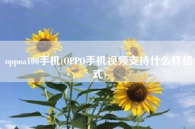 oppoa100手机(OPPO手机视频支持什么样格式)