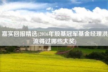 嘉实回报精选(2016年股基冠军基金经理洪流得过哪些大奖)