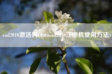 cad2010激活码(Autocad2010注册机使用方法)