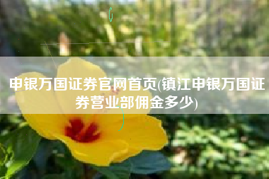 申银万国证券官网首页(镇江申银万国证券营业部佣金多少)