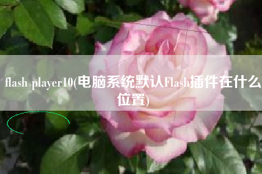 flash player10(电脑系统默认Flash插件在什么位置)