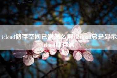 icloud储存空间已满怎么解决(ipad总是显示icloud储存满)