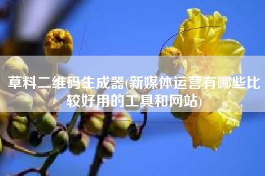 草料二维码生成器(新媒体运营有哪些比较好用的工具和网站)