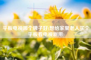 平板电视哪个牌子好(想给家里老人买个平板看电视剧用)