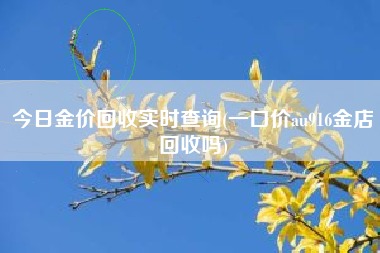 今日金价回收实时查询(一口价au916金店回收吗)
