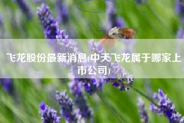 飞龙股份最新消息(中天飞龙属于哪家上市公司)