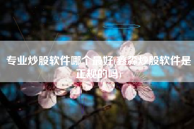 专业炒股软件哪个最好(鑫淼炒股软件是正规的吗)